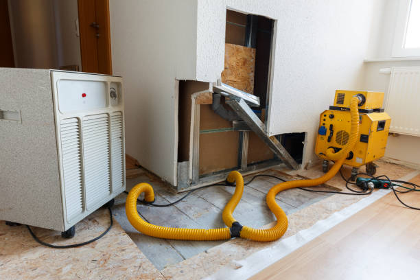 Best Crawl Space Mold Remediation  in Crestwood Village, NJ