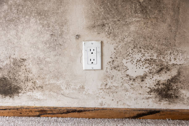 Dehumidification Services in Crestwood Village, NJ