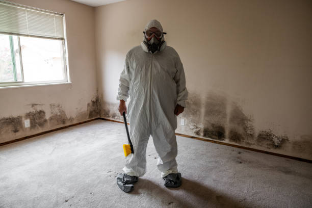 Best Air Quality Testing for Mold Spores  in Crestwood Village, NJ